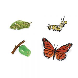 Комплект фигурок Жизненный цикл бабочки