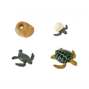 Комплект фигурок Жизненный цикл черепахи